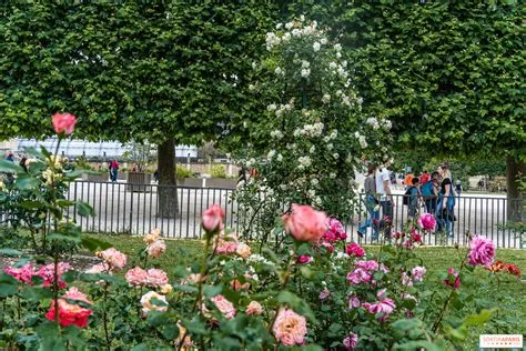 Jardins de la Roseraie: Oasis of Aromatic Bliss Amidst Greenery!