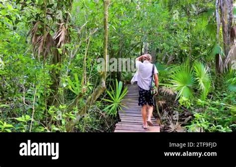 อุทยานแห่งชาติไกรู - แหล่งรวมความงามธรรมชาติและประวัติศาสตร์อันน่าทึ่ง!